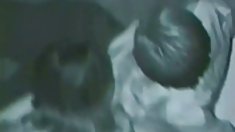 ,, DPP,DAP,მოხვდა შეადგინოს