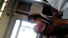 Cody თემატური პრინცი სახლში