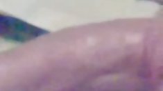 Holly Halston სოლო