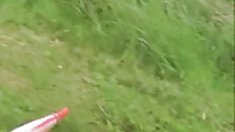 კორეელი აბანოს მაყურებელი