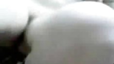 Puppy გოგონა Daisy Ducati აბაზანა, დრო!