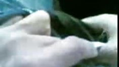 ბეილი ლურჯი,