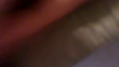 ვერგას ტრანსპორტირების repegon