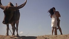 შავი, შავი