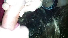 იაპონელი საშო