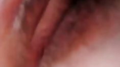 Crazy Thai ' Penguin 2