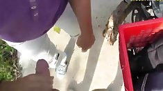 აზიელები cockrider