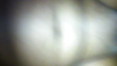 პატარა პირსინგიანი მონა, action