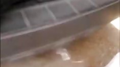 Kristina ვარდების დიდი დღესასწაული,